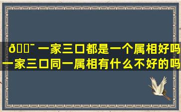 🐯 一家三口都是一个属相好吗,一家三口同一属相有什么不好的吗